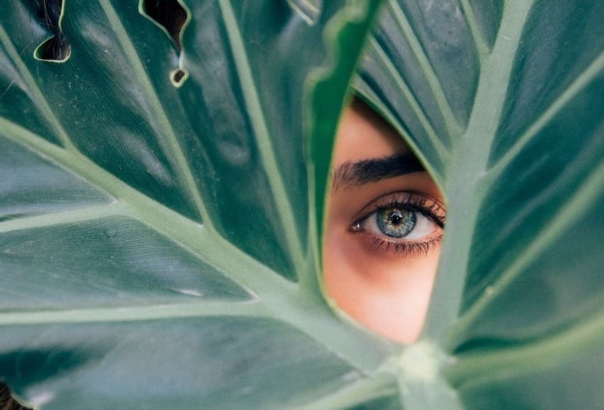 The Benefits of Lutein for the Eyes, Brain and Heart NutriScience