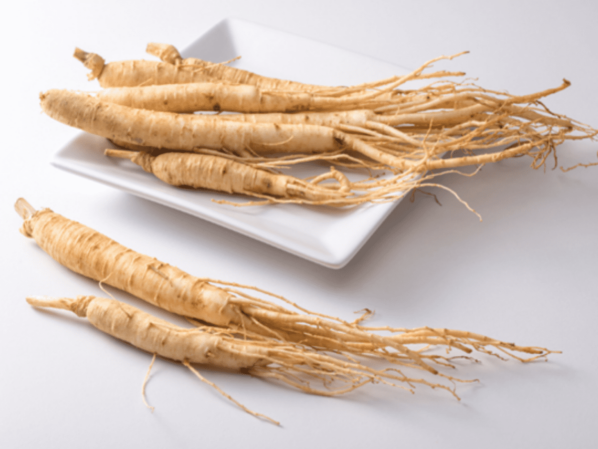 Ginseng Tea Insam Cha Recipe for Energy NutriScience